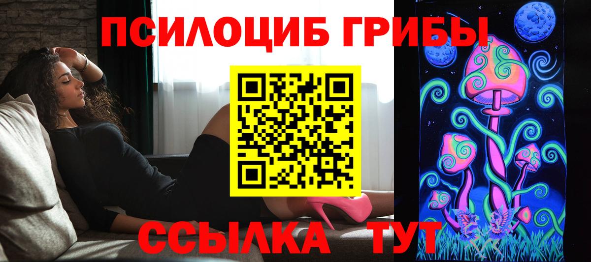 Галлюциногенные грибы Psilocybe Шахты